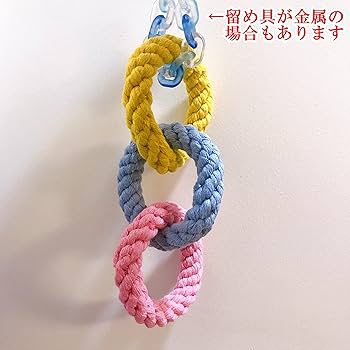 Amazon | 88flix モモンガ おもちゃ 遊び場 ペット用品モモンガ